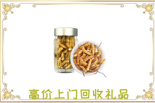 固原周边回收虫草